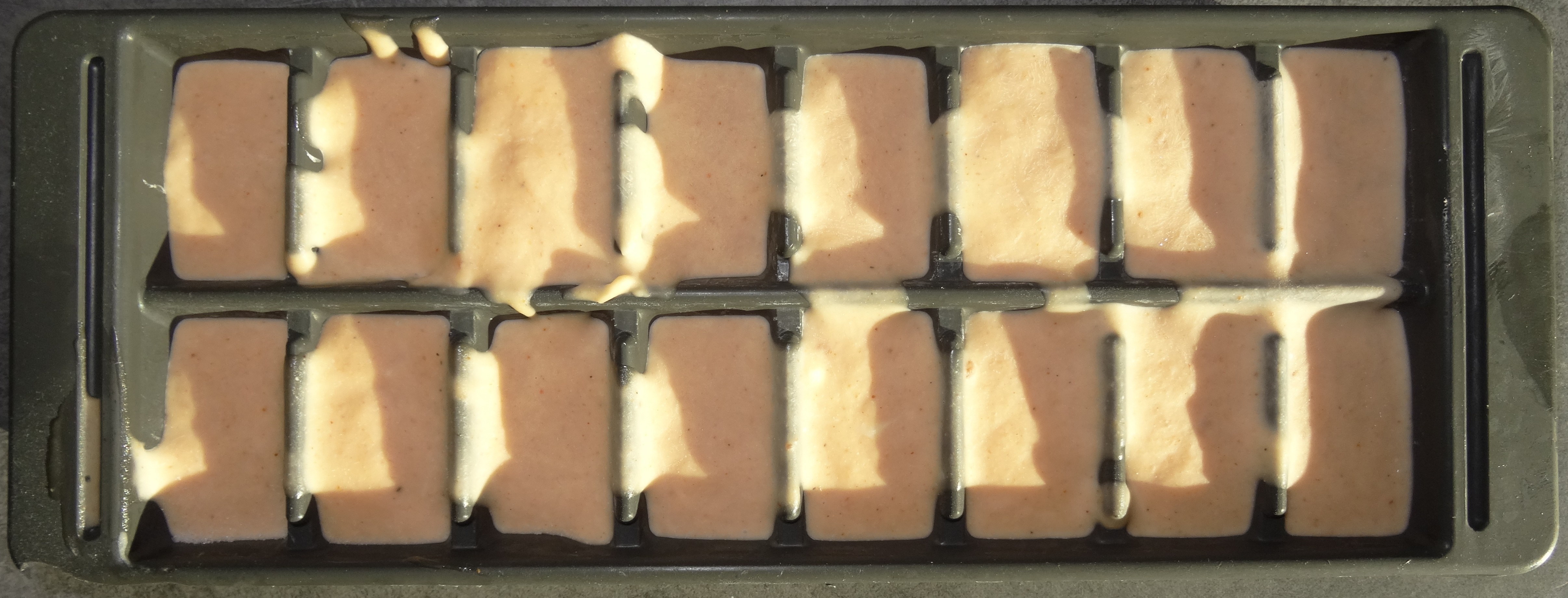 Salad dressing in my ice cube tray